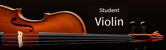 4/4  Westbury Violin Original  ( Made by Eastman Strings ) Ontworpen en geproduceerd door professionele strijkers.  Middenklasse niveau voor de wat (gevorderde) speler of als je streeft naar een wat hoger kwaliteit. 